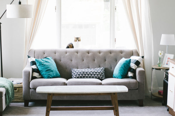 How to Choose the Right Sofa Colour for Your Home